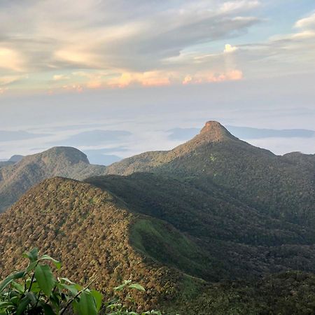 נלת'אניה Hotel Mango Tree Nearest Adam'S Peak מראה חיצוני תמונה