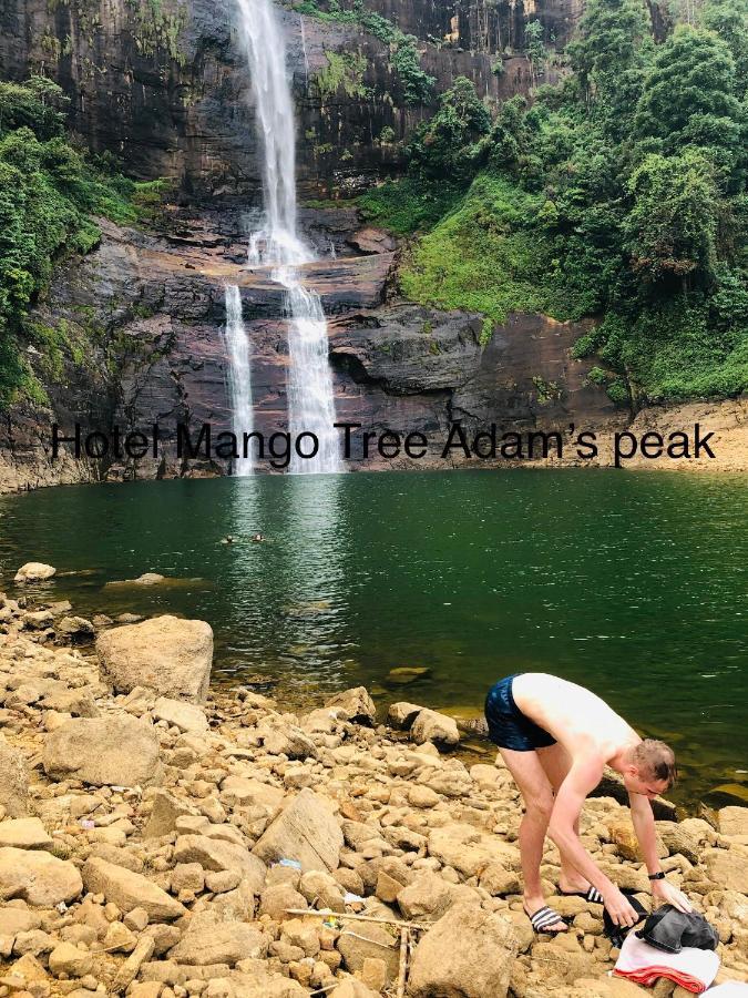נלת'אניה Hotel Mango Tree Nearest Adam'S Peak מראה חיצוני תמונה