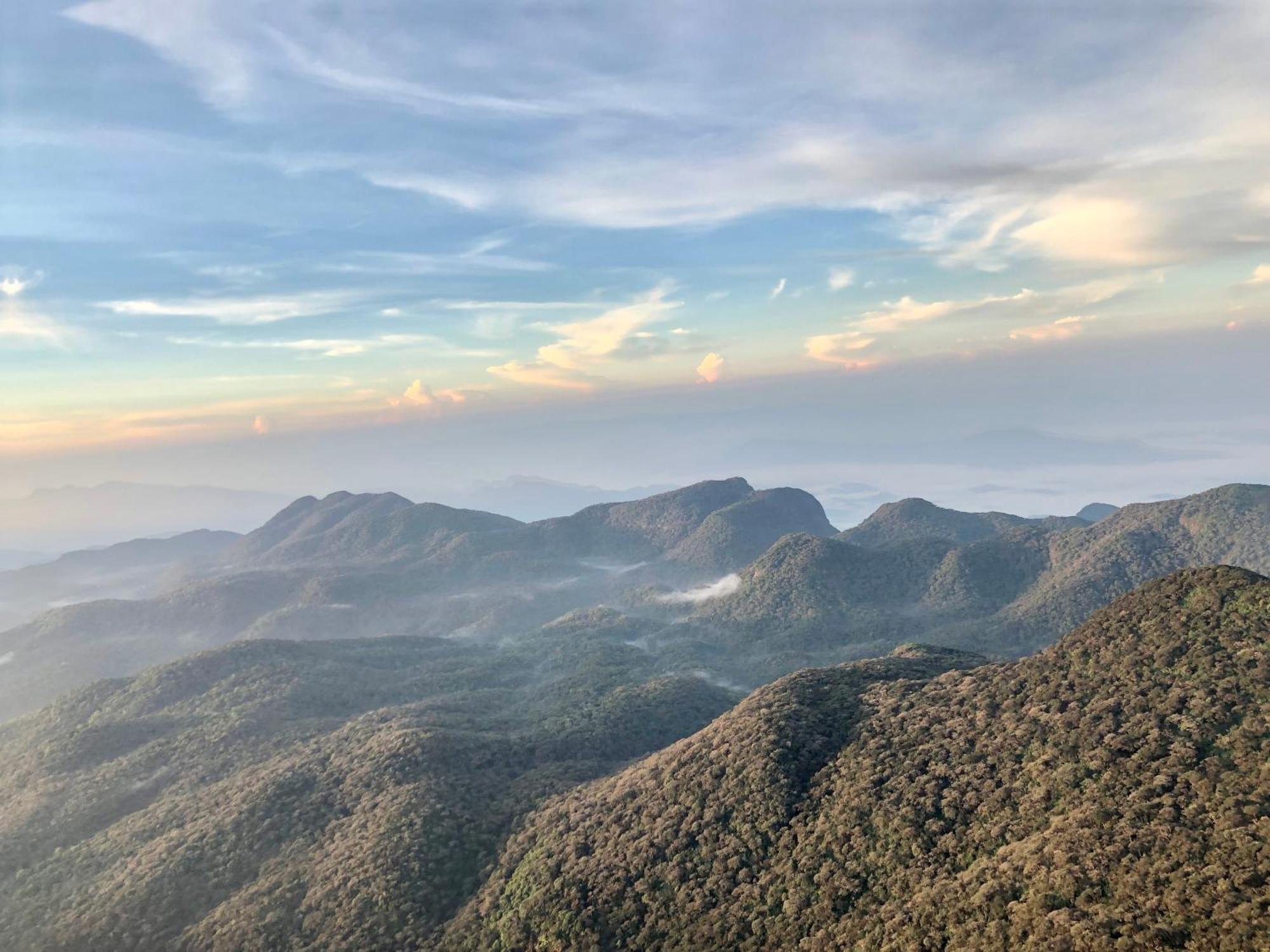 נלת'אניה Hotel Mango Tree Nearest Adam'S Peak מראה חיצוני תמונה