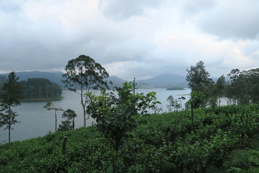 נלת'אניה Hotel Mango Tree Nearest Adam'S Peak מראה חיצוני תמונה